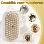 SteamyPaws