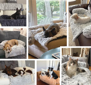 Honden bed Slaapbank