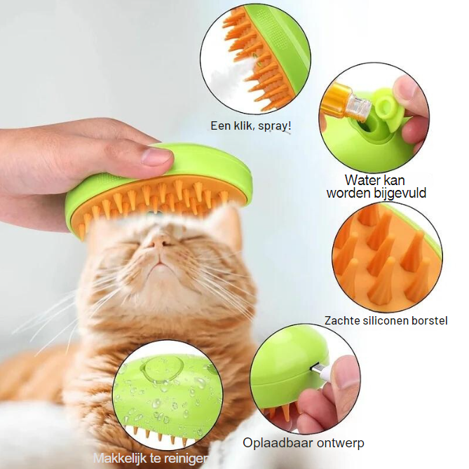 SteamyPaws